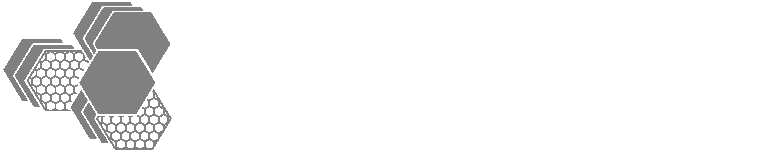 CONFAPI Logo 2