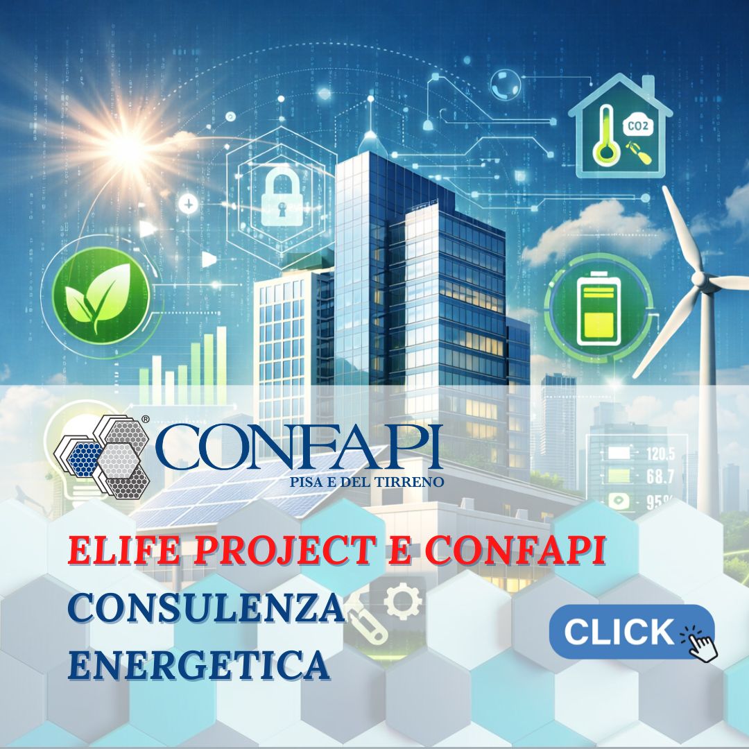 CONFAPI - E-LIFE - Consulenza Energetica Confapi Pisa e del Tirreno