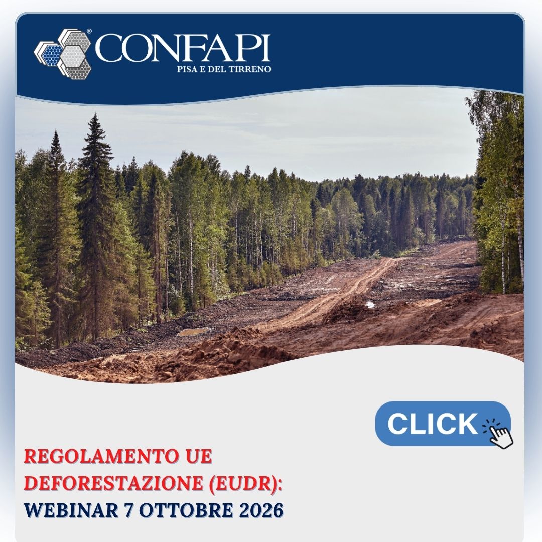 Regolamento europeo sulla Deforestazione (EUDR): aggiornamenti normativi e casi pratici nel webinar del Sistema Camerale