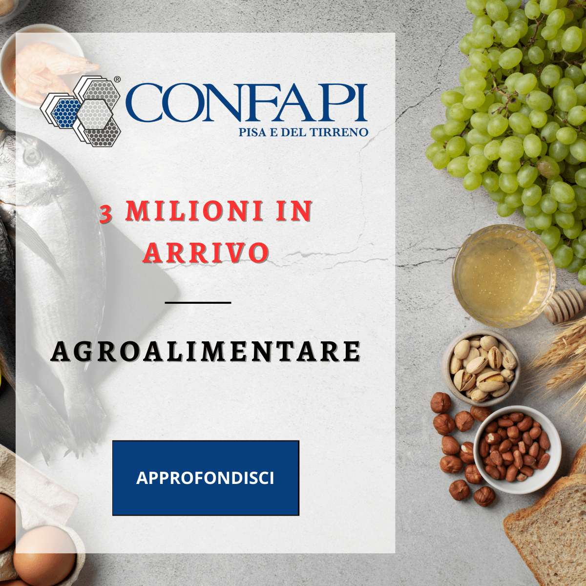3 MILIONI IN ARRIVO - AGROALIMNTARE Confapi Pisa e del Tirreno