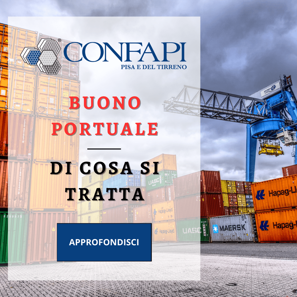  BUONO PORTUALE Confapi Pisa e del Tirreno
