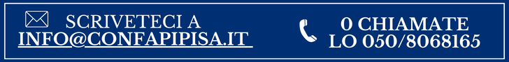 Confapi Pisa in numeri (11).png