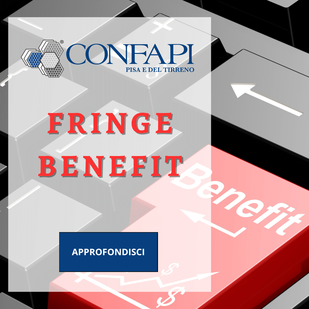 FRINGE BENEFIT Confapi Pisa e del Tirreno