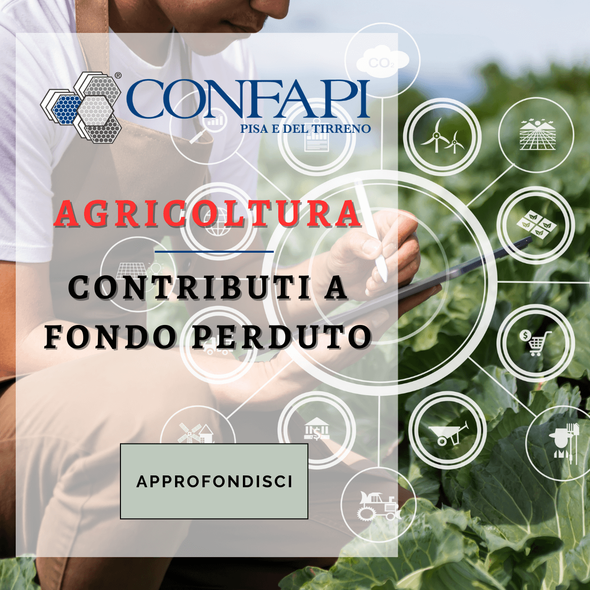 AGRICOLTURA - CONTRIBUTI A FONDO PERDUTO Confapi Pisa e del Tirreno