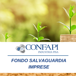 Piano Salvaguarda impresa Confapi Pisa e del Tirreno