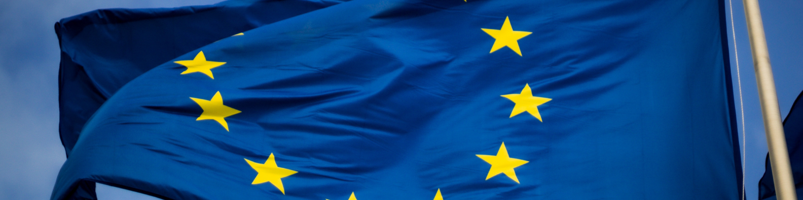 Premi europei per la promozione d’impresa.png