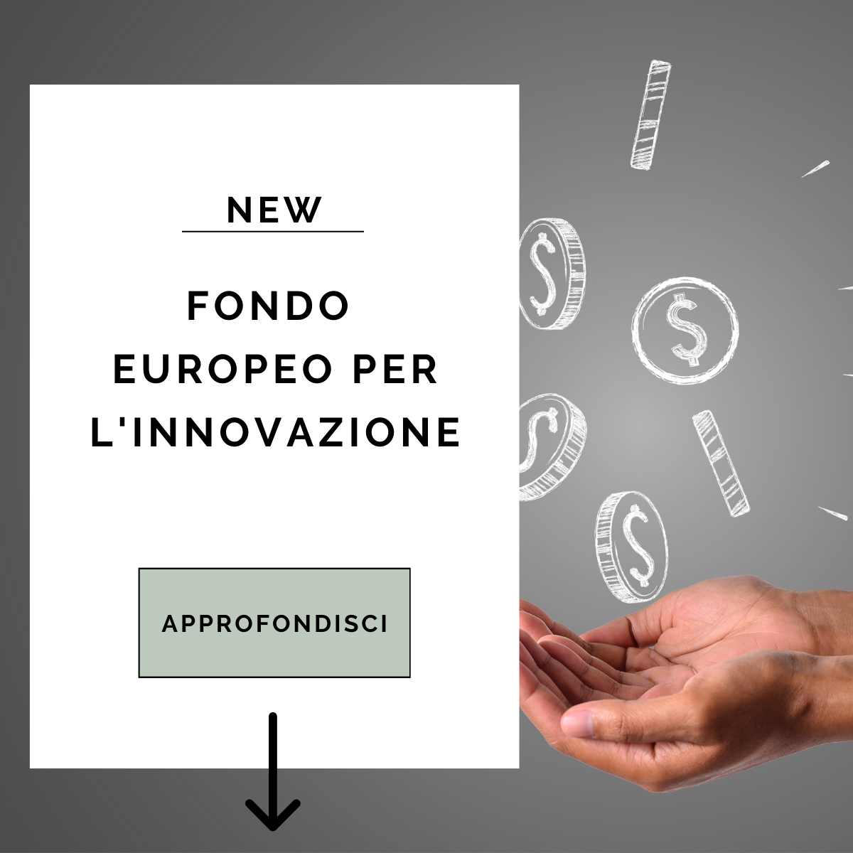 FONDO EUROPEO PER L'INNOVAZIONE Confapi Pisa e del Tirreno
