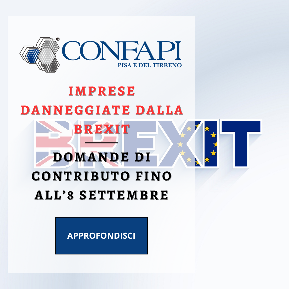 IMPRESE DANNEGGIATE DALLA BREXIT Confapi Pisa e del Tirreno