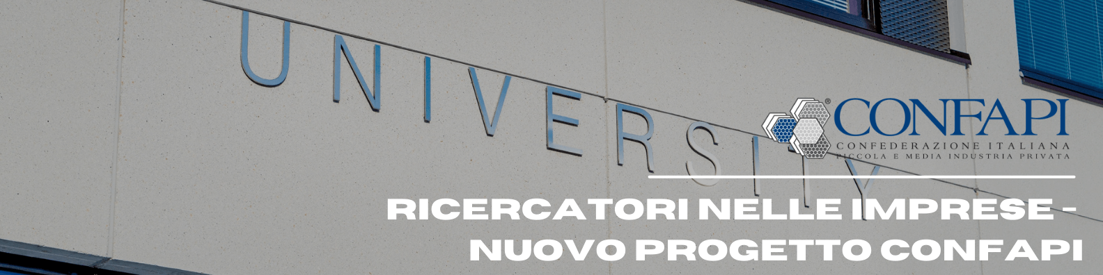 rett ricerca 6